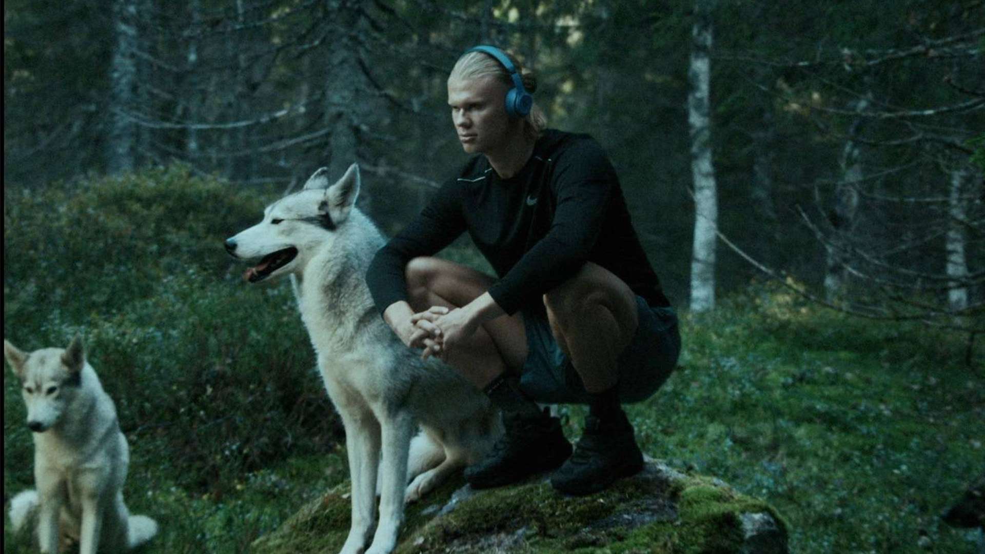 效的进攻方 效的进攻方